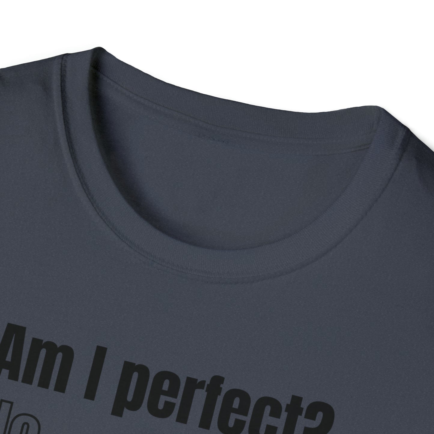 Am I Perfect