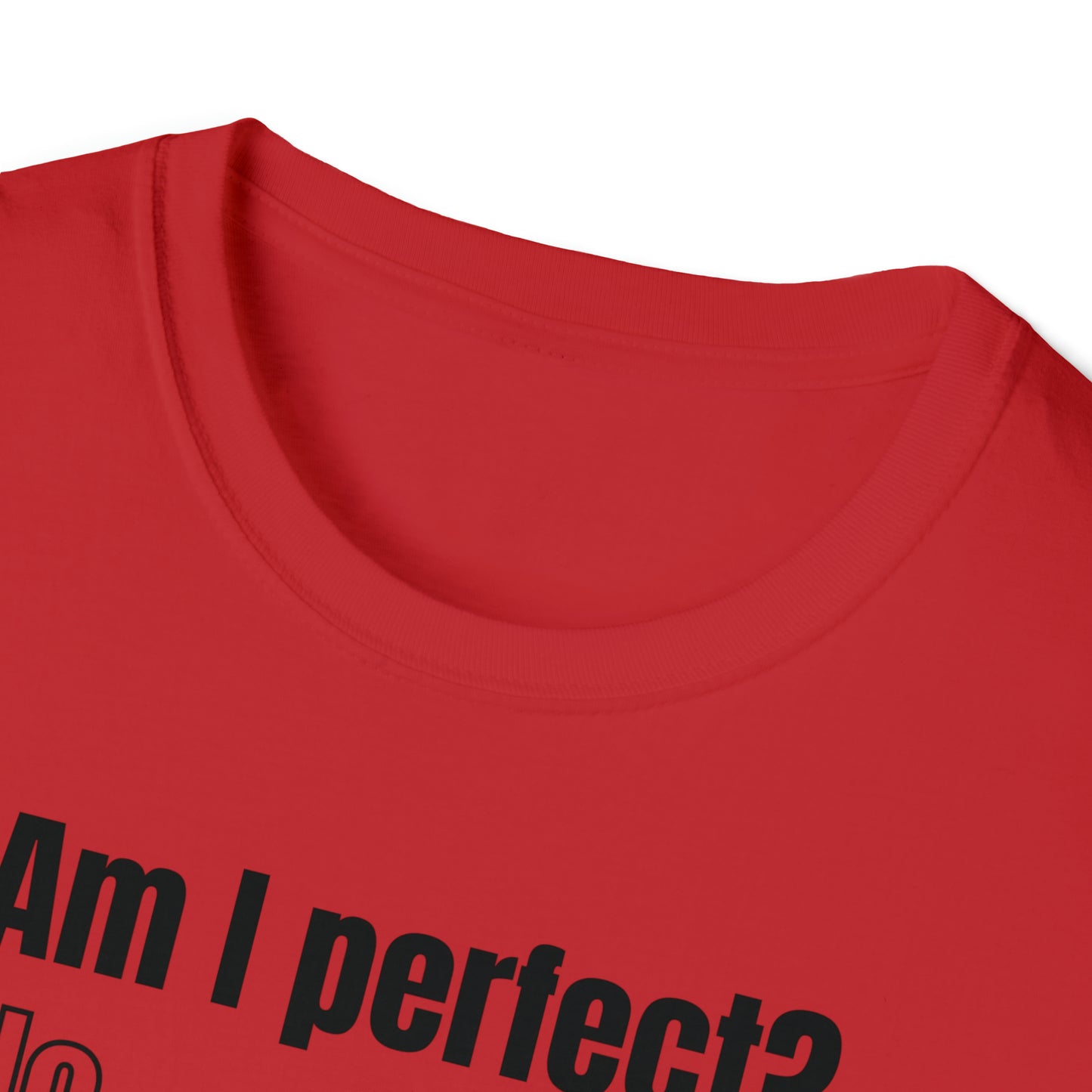 Am I Perfect