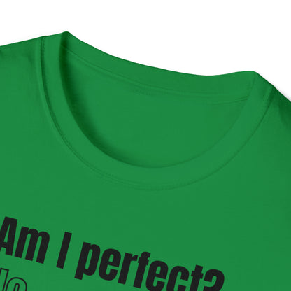 Am I Perfect